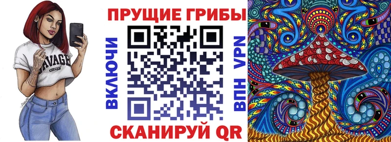 Псилоцибиновые грибы Magic Shrooms  Купить  Нурлат 